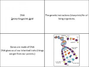 DNA Deoxyribonucleic Acid Genes are made of DNA