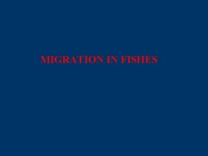 MIGRATION IN FISHES Migration directed mass movements from