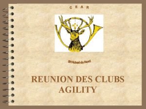 REUNION DES CLUBS AGILITY LA CEAR Projet d