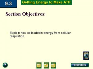 Section Objectives n Explain how cells obtain energy
