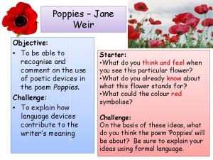 Poppies Jane Weir Objective To be able to