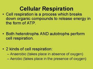 Cellular Respiration Cell respiration is a process which