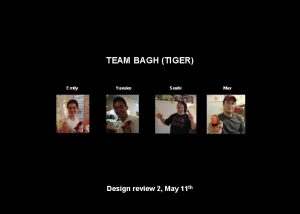 TEAM BAGH TIGER Emily Yusuke Sushi Design review