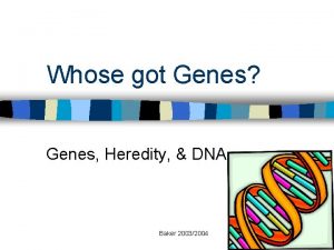 Whose got Genes Genes Heredity DNA Baker 20032004
