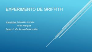 EXPERIMENTO DE GRIFFITH Integrantes Sebastin Andrade Pedro Arnguiz