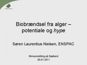 Biobrndsel fra alger potentiale og hype Sren Laurentius