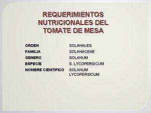 REQUERIMIENTOS NUTRICIONALES DEL TOMATE DE MESA ORDEN SOLANALES