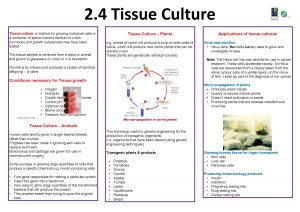 2 4 Tissue Culture Tissue culture a method