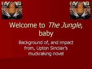 Welcome to The Jungle baby Background of and