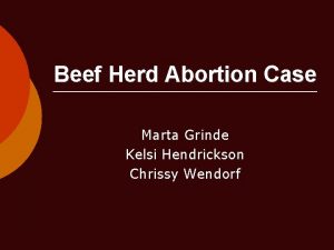 Beef Herd Abortion Case Marta Grinde Kelsi Hendrickson