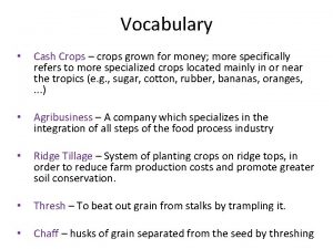 Vocabulary Cash Crops crops grown for money more