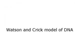 Watson and Crick model of DNA Nucleotides are