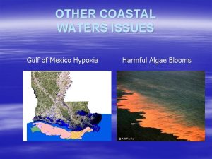 OTHER COASTAL WATERS ISSUES Gulf of Mexico Hypoxia