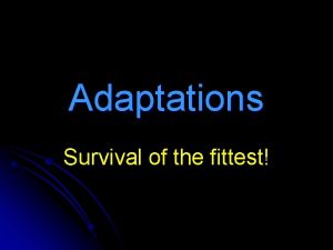 Adaptations Survival of the fittest l l All