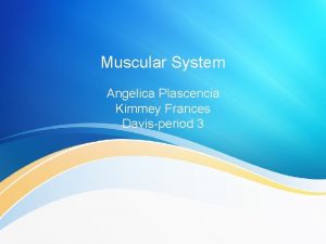 Muscular System Angelica Plascencia Kimmey Frances Davisperiod 3