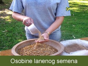 Osobine lanenog semena Posljednjih godina objavljeno je mnogo