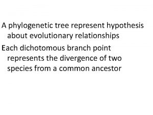 A phylogenetic tree represent hypothesis about evolutionary relationships