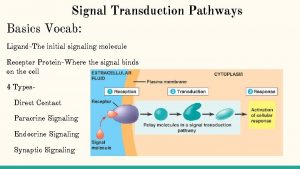 Signal Transduction Pathways Basics Vocab LigandThe initial signaling