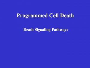 Programmed Cell Death Signaling Pathways What are the