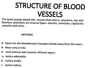 STRUCTURE OF BLOOD VESSELS The heart pumps blood