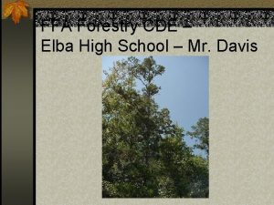 FFA Forestry CDE Elba High School Mr Davis