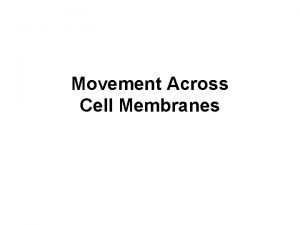 Movement Across Cell Membranes Selectively Permeable Membrane Types