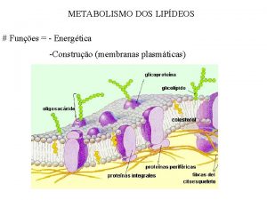 METABOLISMO DOS LIPDEOS Funes Energtica Construo membranas plasmticas