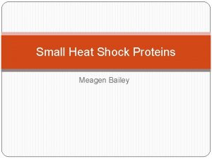 Small Heat Shock Proteins Meagen Bailey HSP OverviewStructure