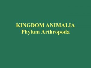 KINGDOM ANIMALIA Phylum Arthropoda Subphylum Mandibulata Members of