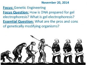 November 20 2014 Focus Genetic Engineering Focus Question