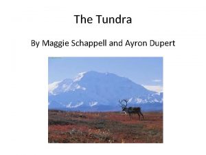 The Tundra By Maggie Schappell and Ayron Dupert