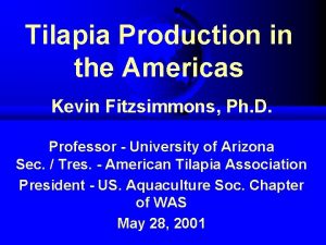 Tilapia Production in the Americas Kevin Fitzsimmons Ph