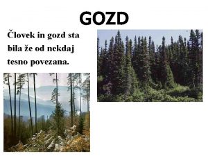 GOZD lovek in gozd sta bila e od