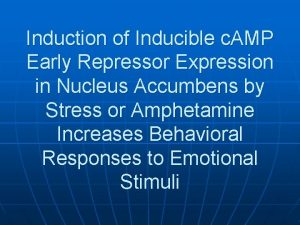 Induction of Inducible c AMP Early Repressor Expression