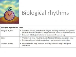 Biological rhythms Key Concepts 1 Biological rhythms regular