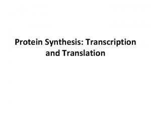 Protein Synthesis Transcription and Translation Transcription Helicase enzyme