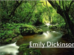 Emily Dickinson A Brief Biography Emily Dickinson was