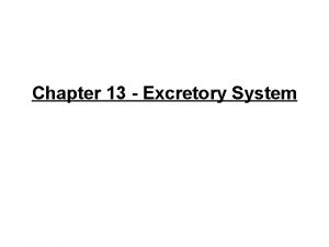 Chapter 13 Excretory System Function of the Excretory