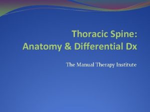 Thoracic Spine Anatomy Differential Dx The Manual Therapy