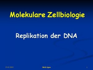 Molekulare Zellbiologie Replikation der DNA 01 2022 Sebk