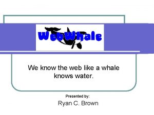 We know the web like a whale knows