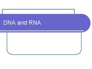 DNA and RNA Nucleotides l DNA and RNA