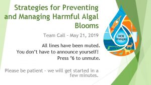 Strategies for Preventing and Managing Harmful Algal Blooms