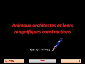 Animaux architectes et leurs magnifiques constructions 112022 Henri