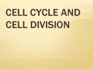 CELL CYCLE AND CELL DIVISION CELL CYCLE The