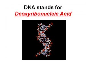 DNA stands for Deoxyribonucleic Acid DNA makes up