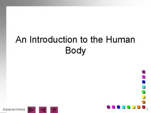 An Introduction to the Human Body Suzanne DAnna