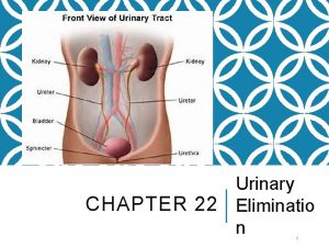 Urinary CHAPTER 22 Eliminatio n 1 URINARY ELIMINATION