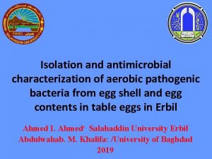 Isolation and antimicrobial characterization of aerobic pathogenic bacteria