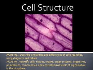 Cell Structure ACOS 4 Describe similarities and differences